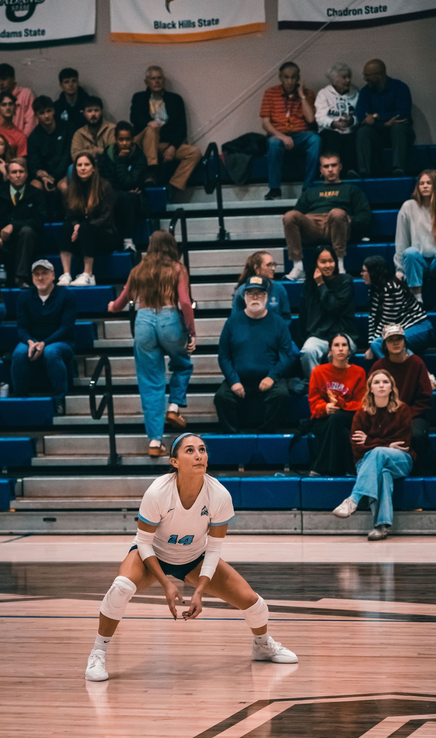 Colorado Christian University volleyball player #14 in defensive ready position during a match