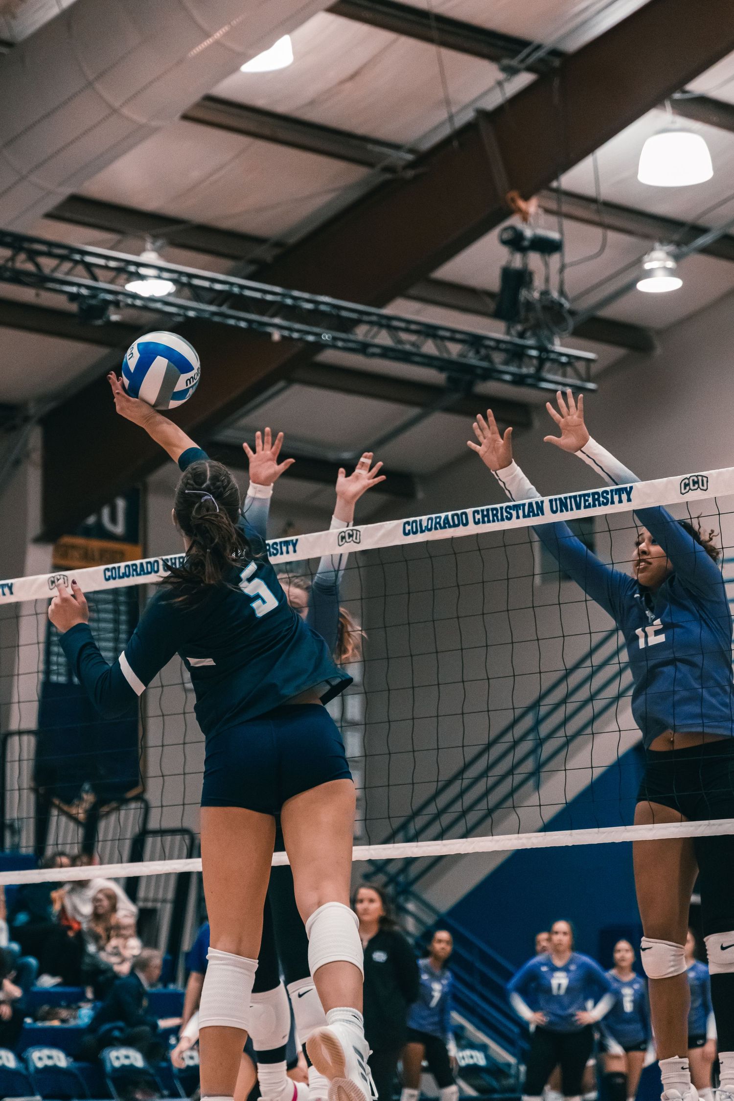 CCU Cougars #5 Attacks Over the Block at Home Court
