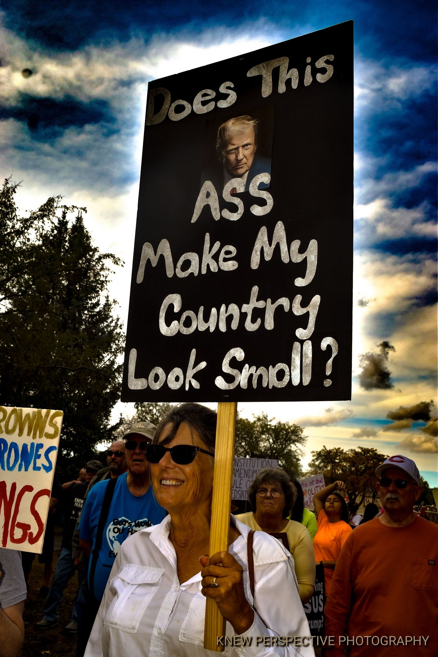 Protesters hold signs with sarcastic messages at a political rally against dark cloudy skies.