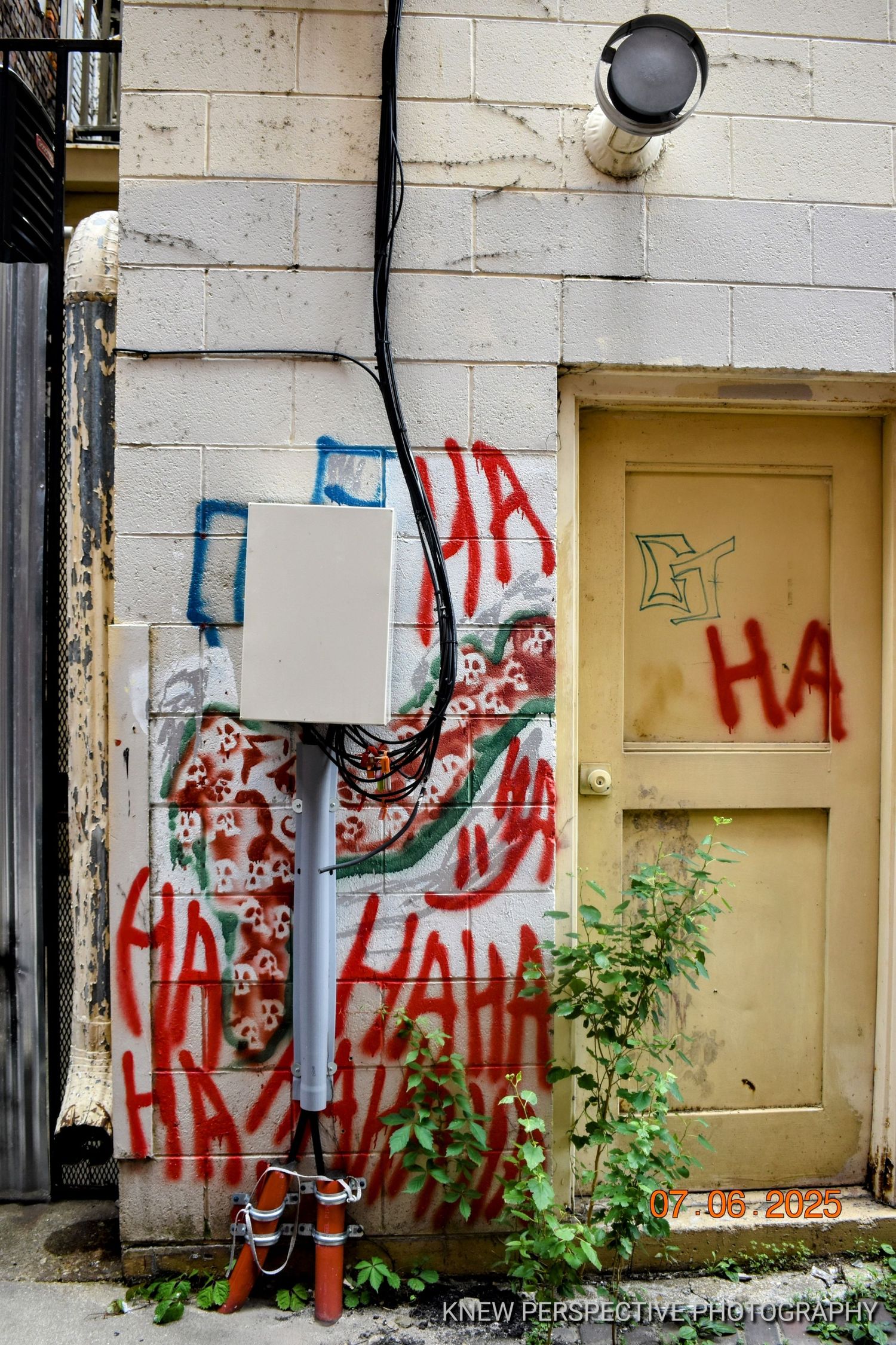 Graffiti art with red text decorates a white wall with small plants growing nearby.