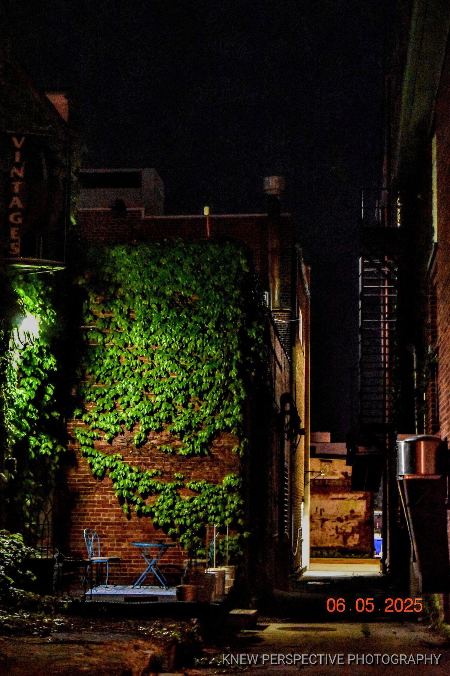 Dark urban alleyway at night with green ivy growing on brick walls illuminated by dramatic lighting.