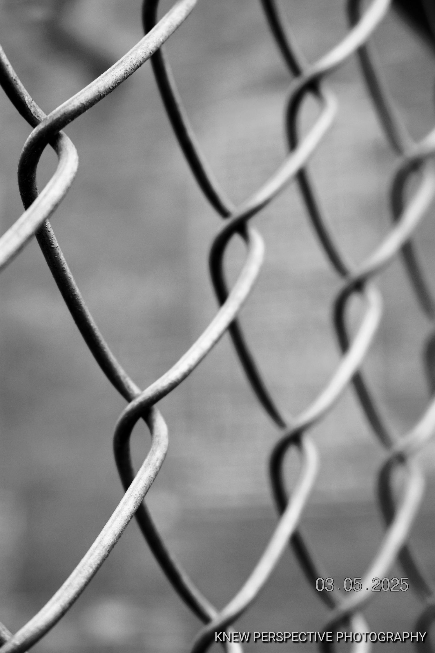 Black and white macro photograph of a chain link fence showing diagonal metal wire pattern in sharp detail.