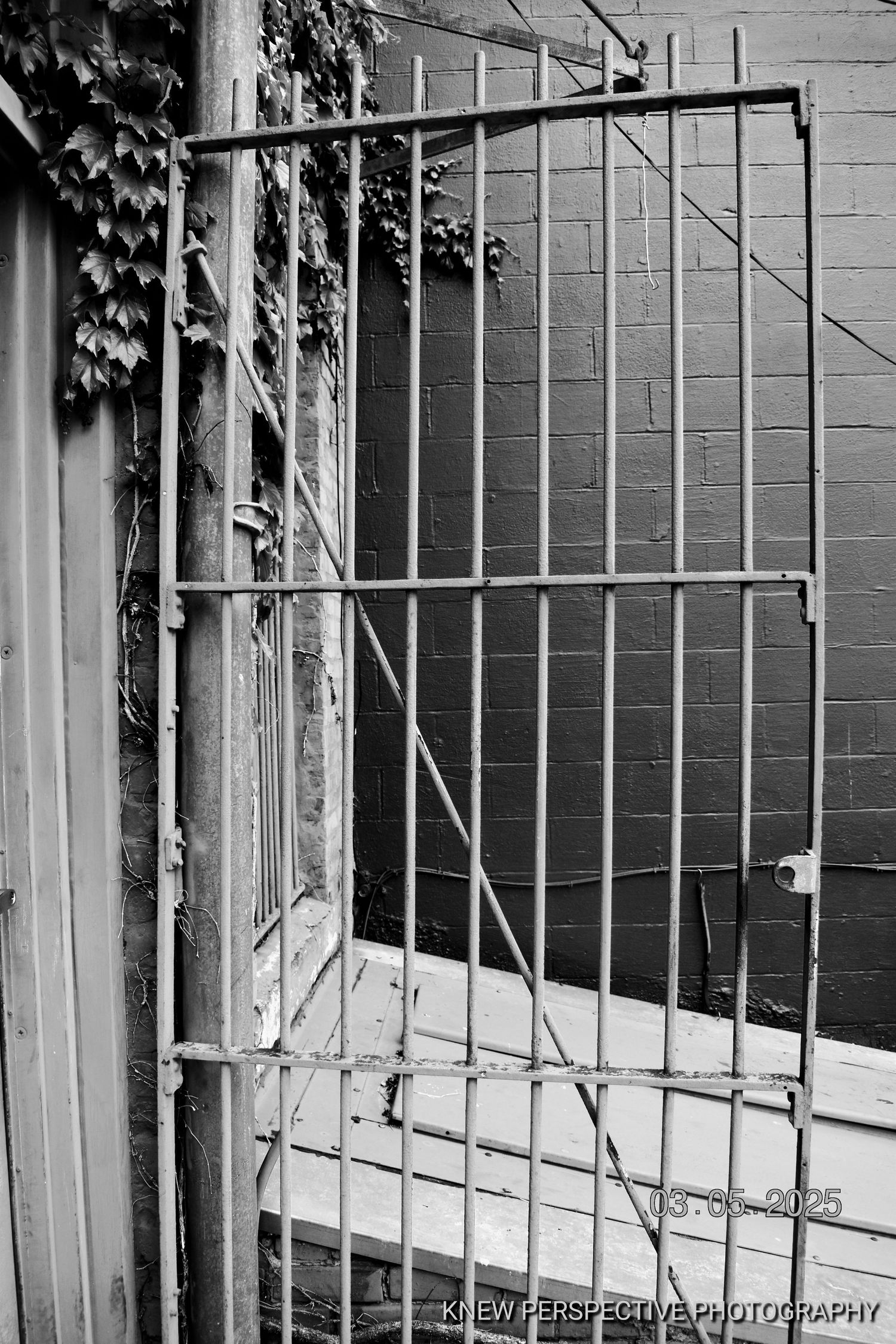 Black and white architectural detail showing metal railings and windows on a brick building exterior.