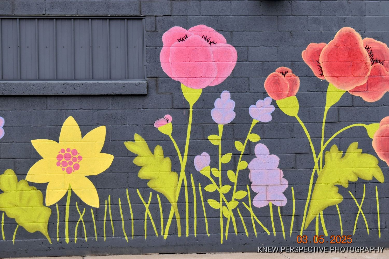 Colorful flower mural painted on a gray concrete wall featuring daffodils, tulips and other spring blooms.