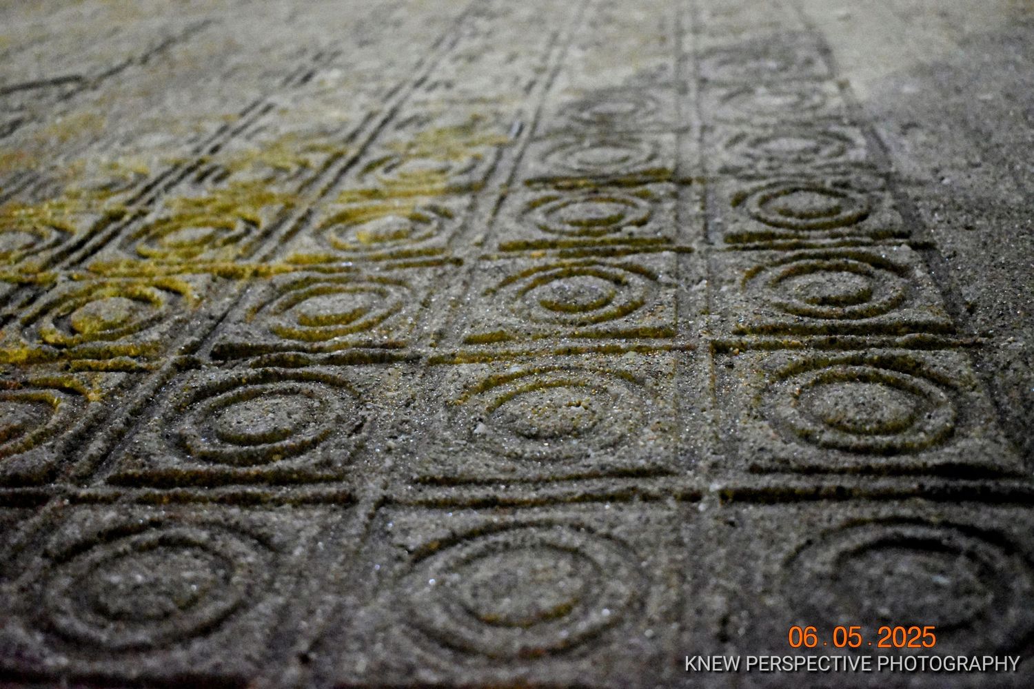 Close-up view of decorative spiral patterns embedded in concrete sidewalk with yellow moss or lichen growing in grooves.