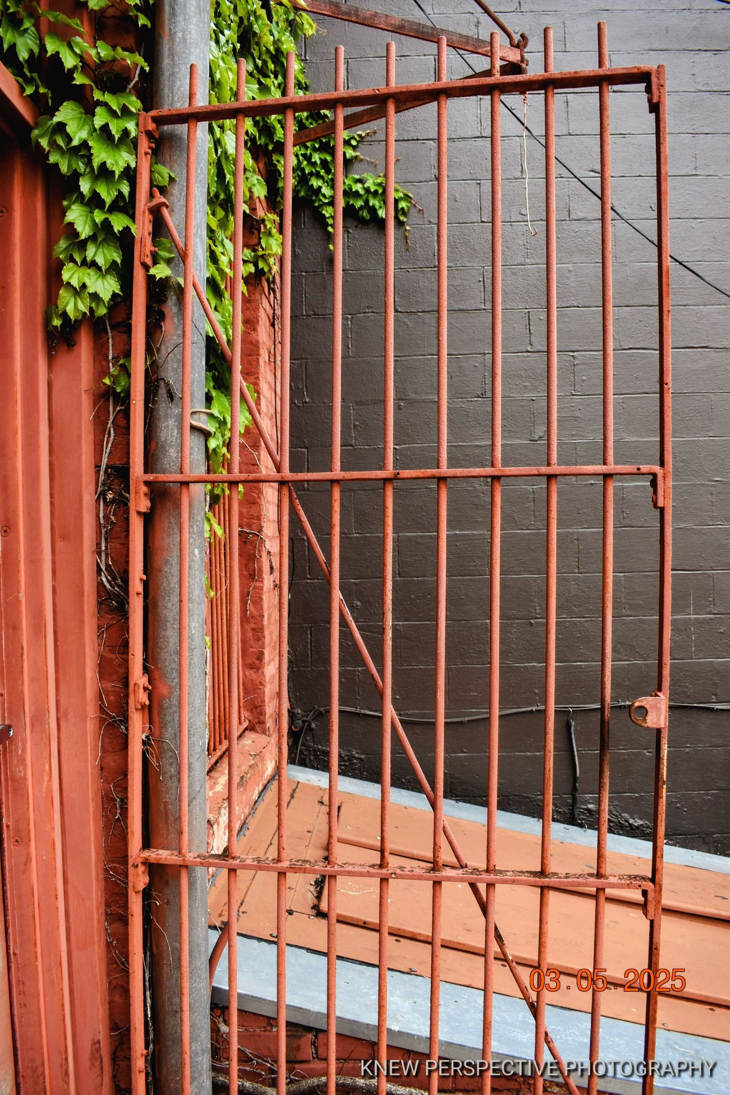 Orange metal gate against wall with climbing green ivy creates architectural contrast.