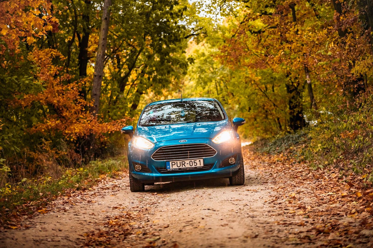 Ford Fiesta egy erdőben