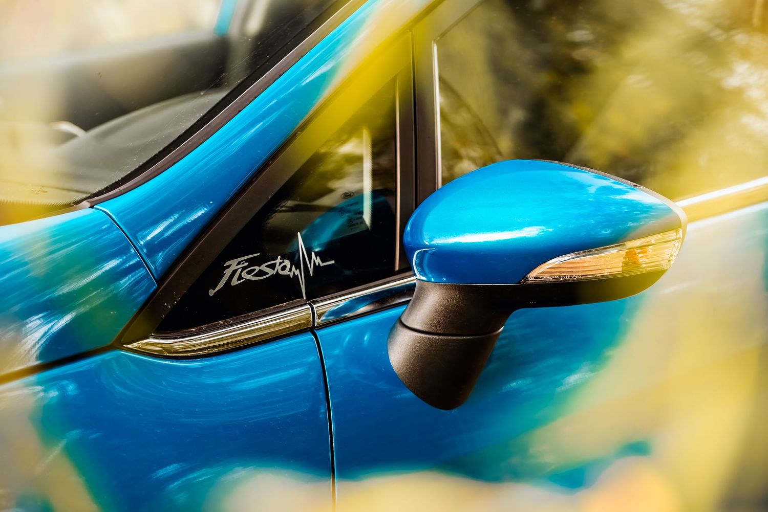 Ford Fiesta részlet fotó, fűzfa levelekkel az előtérben
