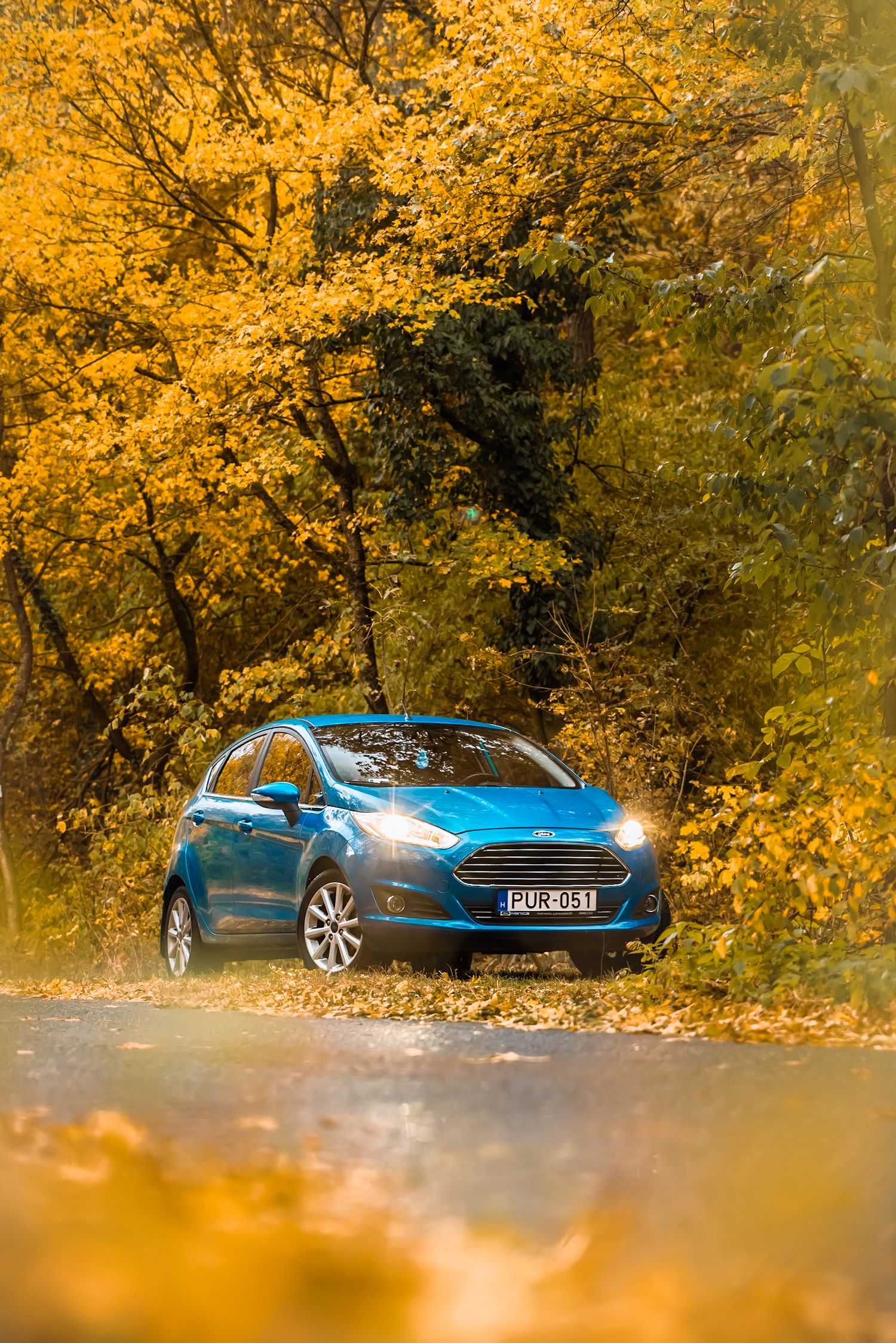 Ford Fiesta egy erdős úton
