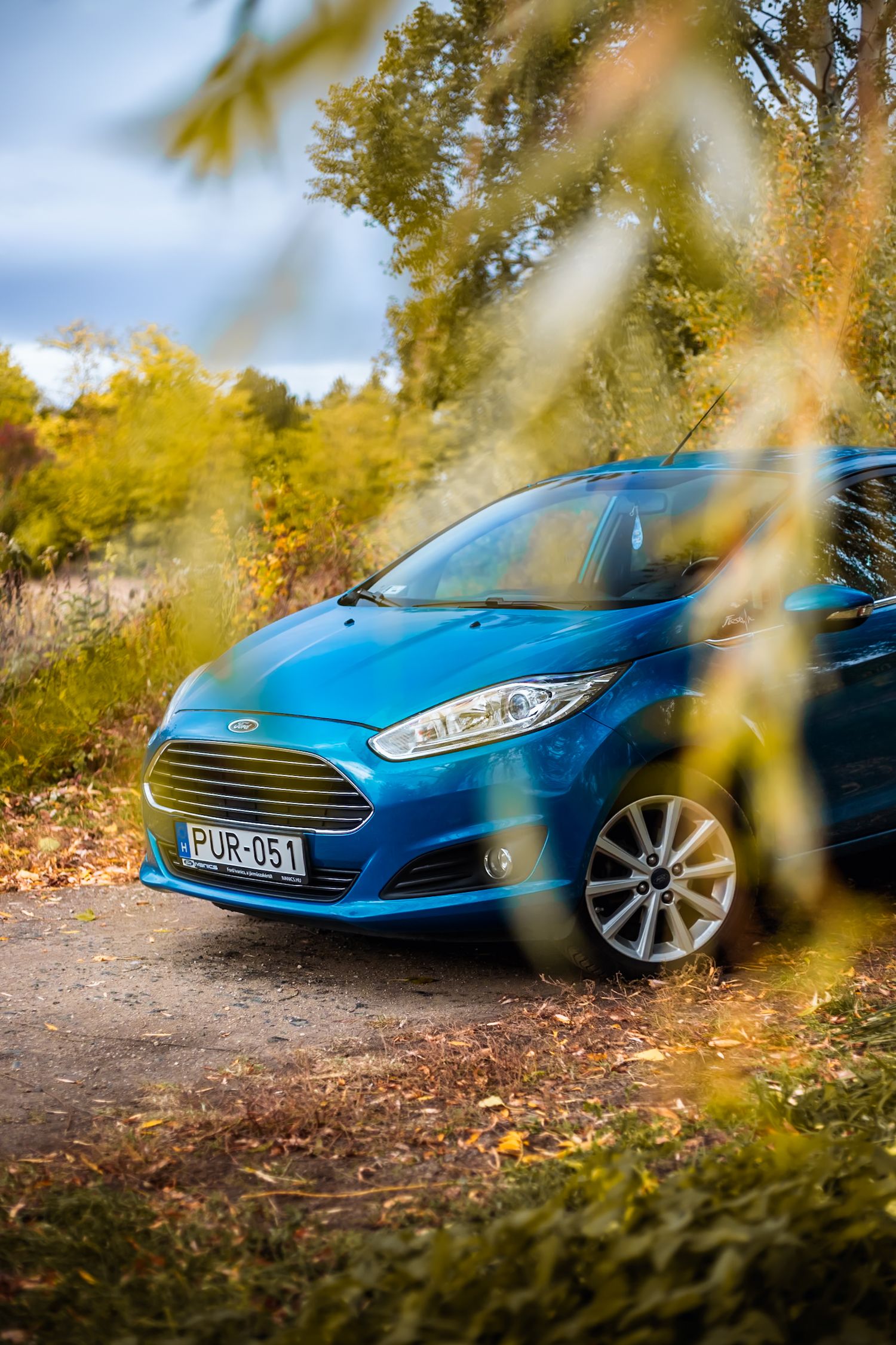 Ford Fiesta fűzfa alatt