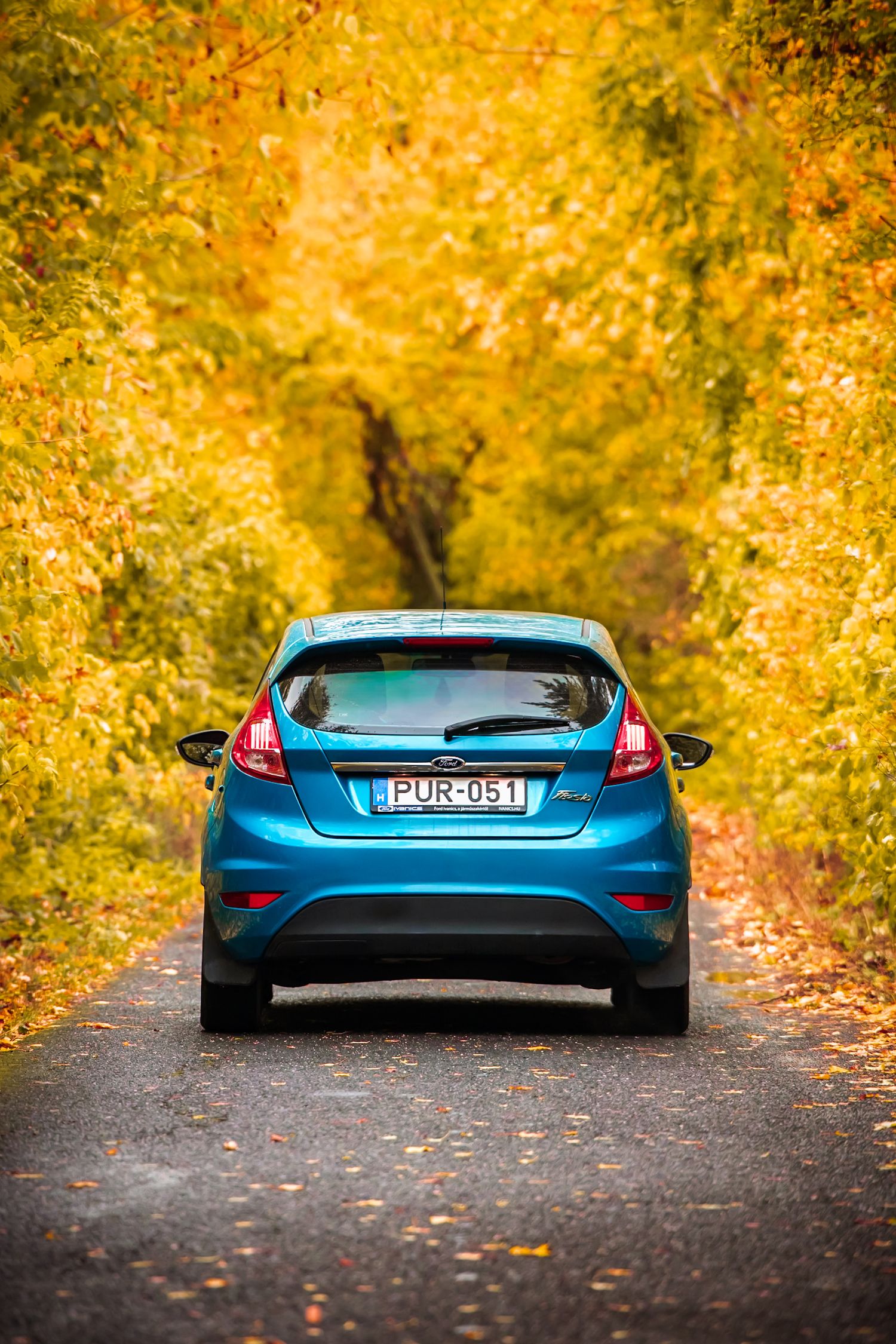 Ford Fiesta egy erdei úton halad