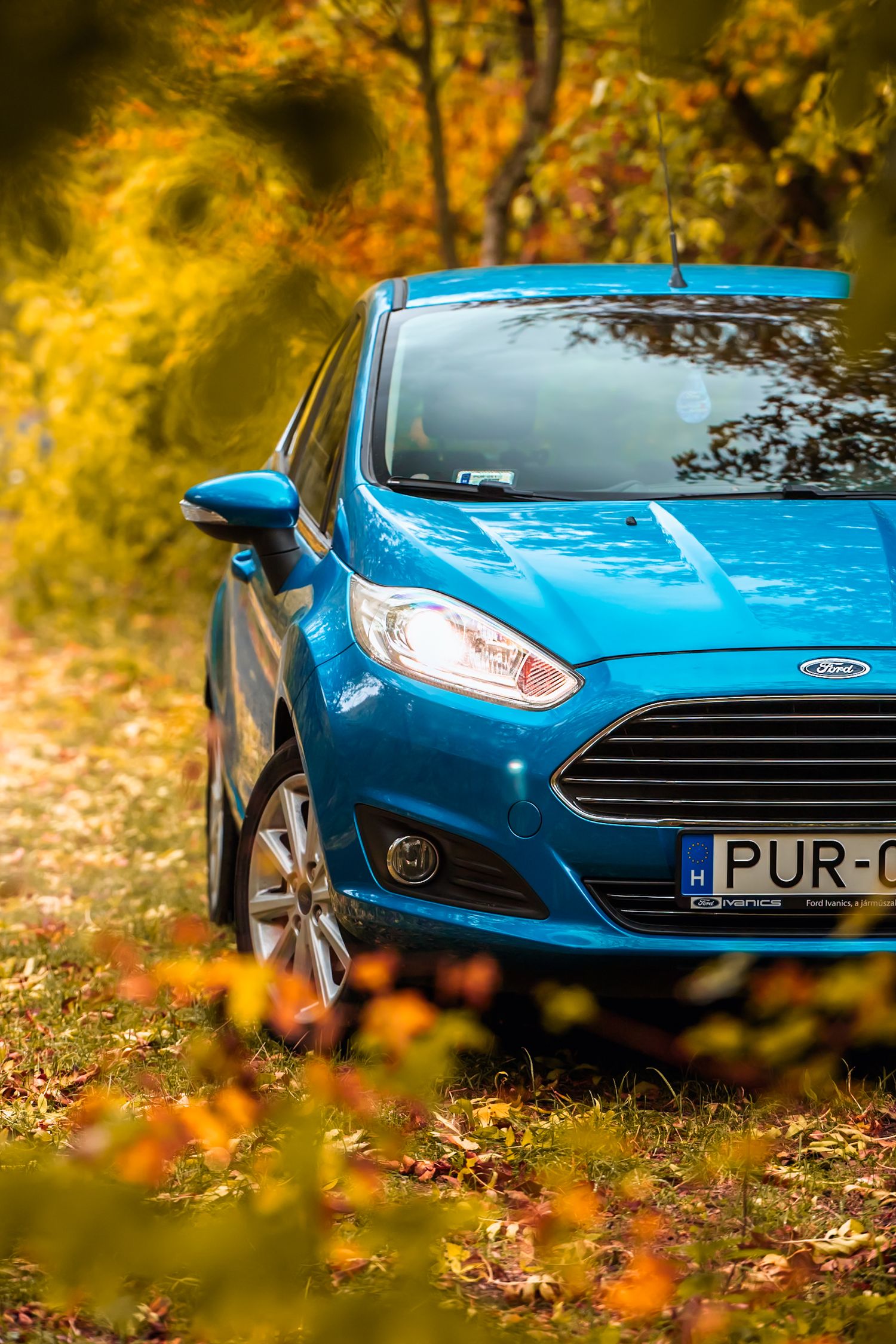 Ford Fiesta bokrok között