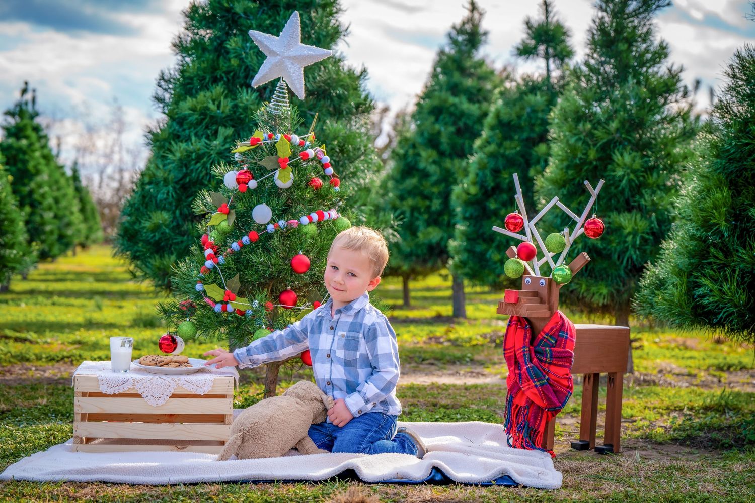 Christmas tree farm photo session with holiday props and decorative stars.