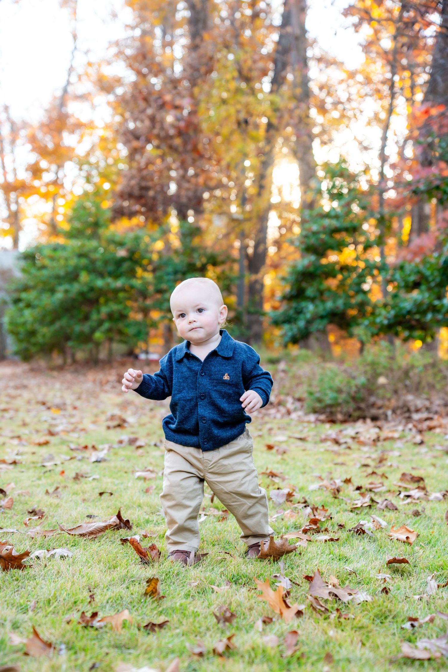 Toddler taking first steps on leaf-covered lawn with fall foliage in background.