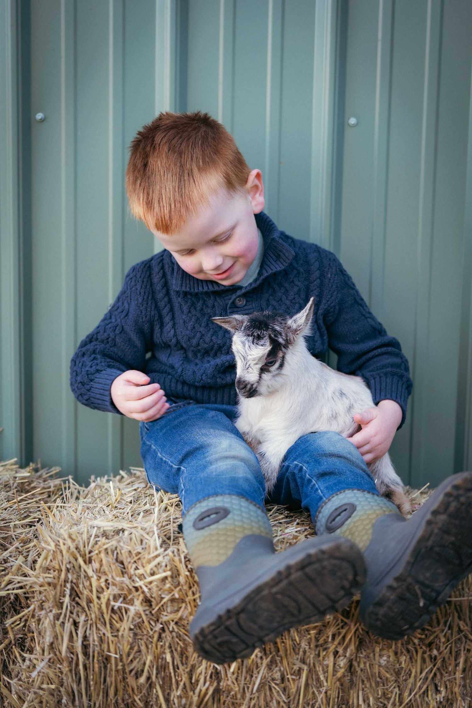 Child in navy sweater petting white and grey cat while sitting on hay bales.