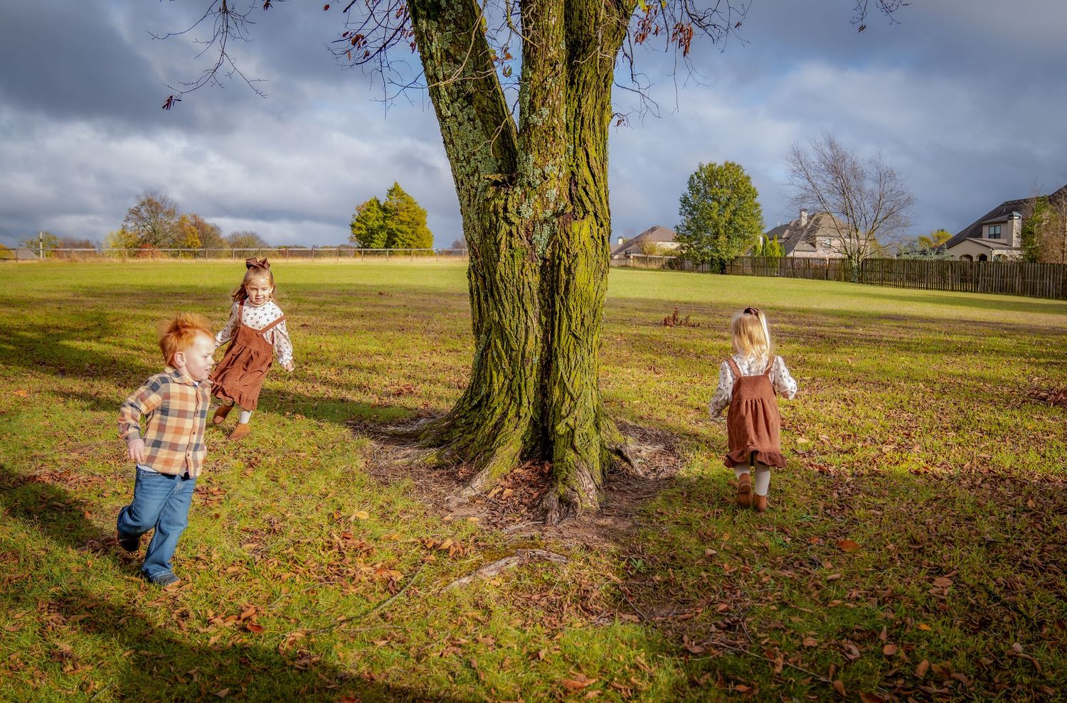 Family members play and interact under large tree during autumn photoshoot.