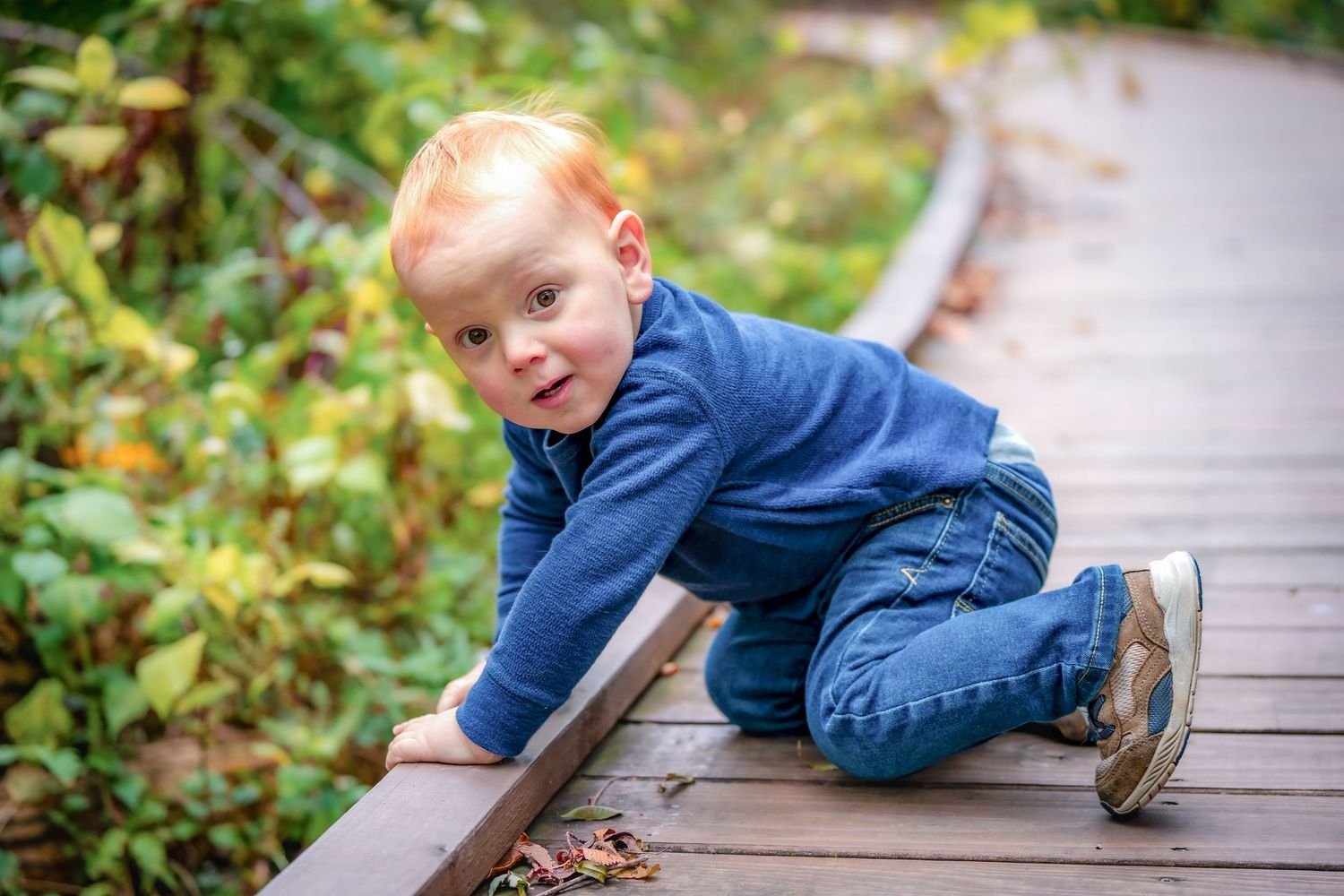 A child in blue clothing crawling on a wooden boardwalk surrounded by autumn foliage.