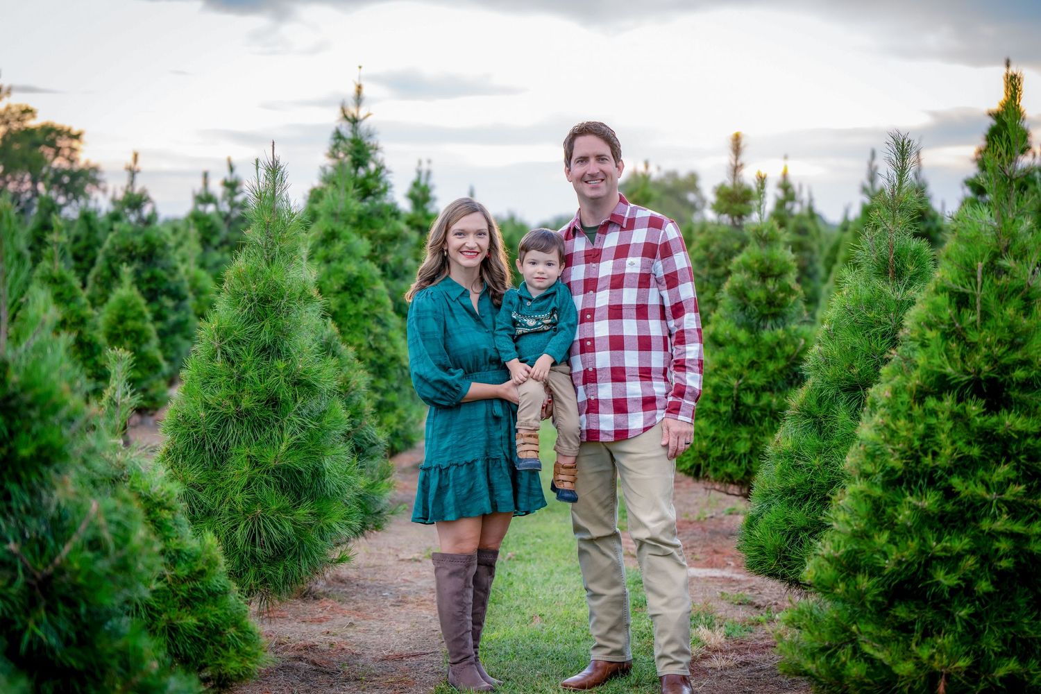 Family walking through rows of Christmas trees at a tree farm during golden hour.