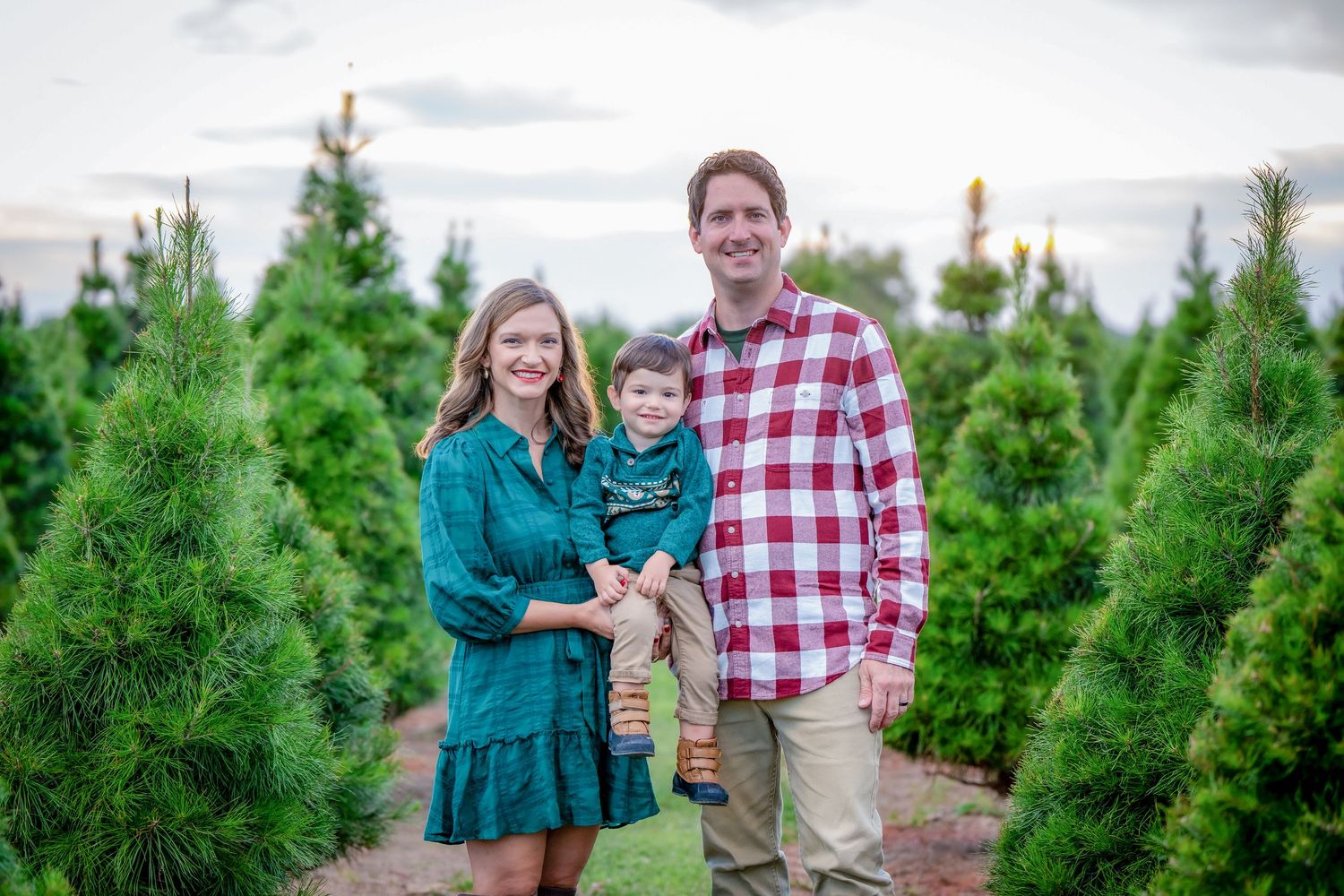 Holiday family portrait session among rows of evergreen trees at a Christmas tree farm.