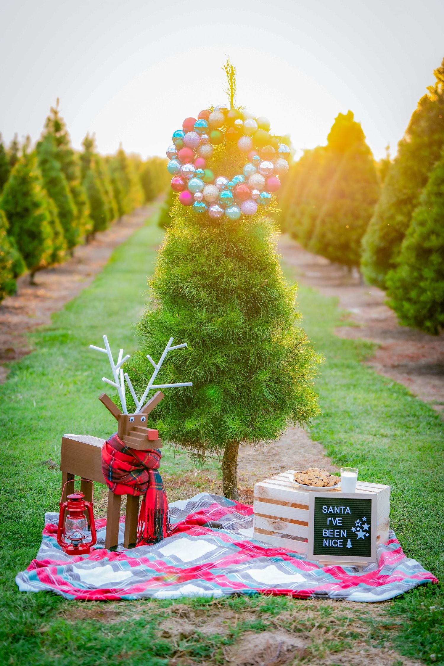 Christmas picnic setup with balloons and treats among rows of evergreen trees.