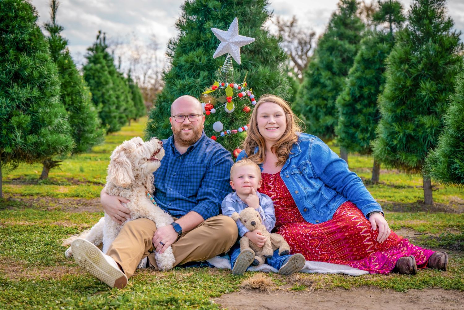 Family lounging on blankets between rows of Christmas trees during a photo session.
