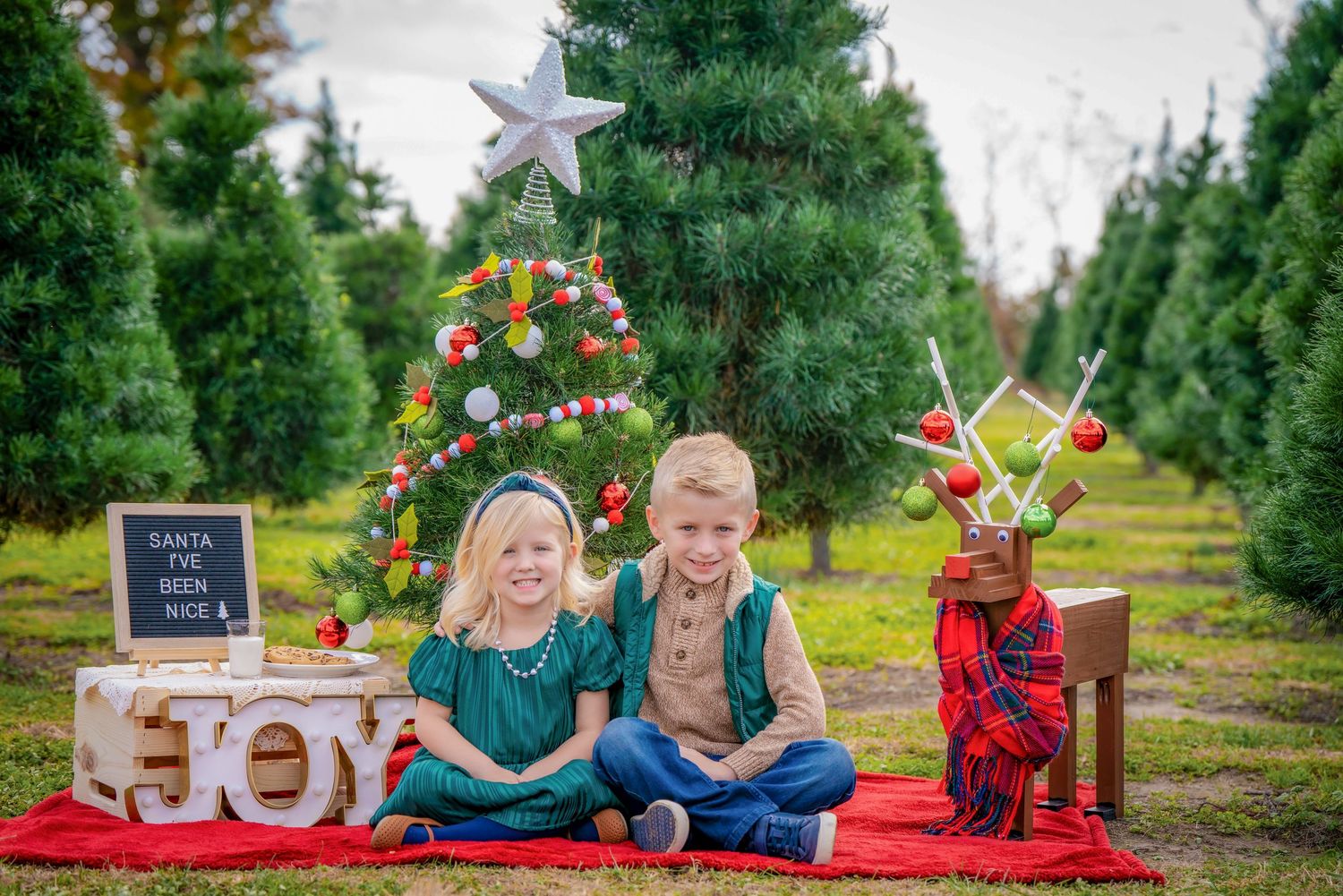 Holiday decorations and props set up between rows of Christmas trees for a festive photo session.