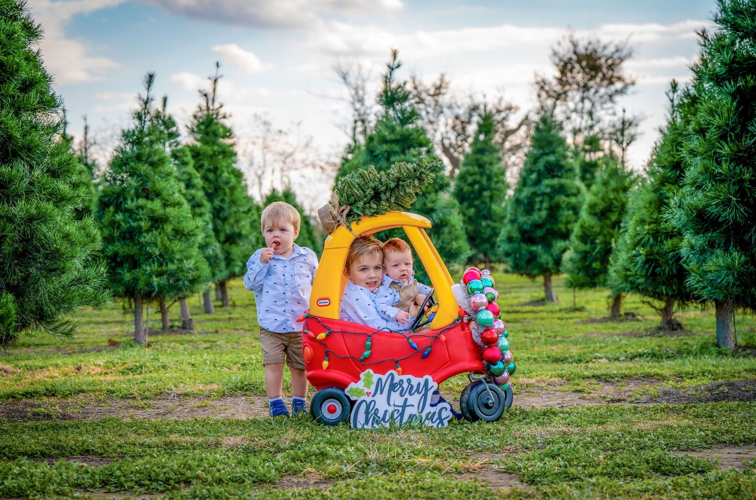 Children playing in a red and yellow toy car among evergreen trees at a Christmas tree farm.