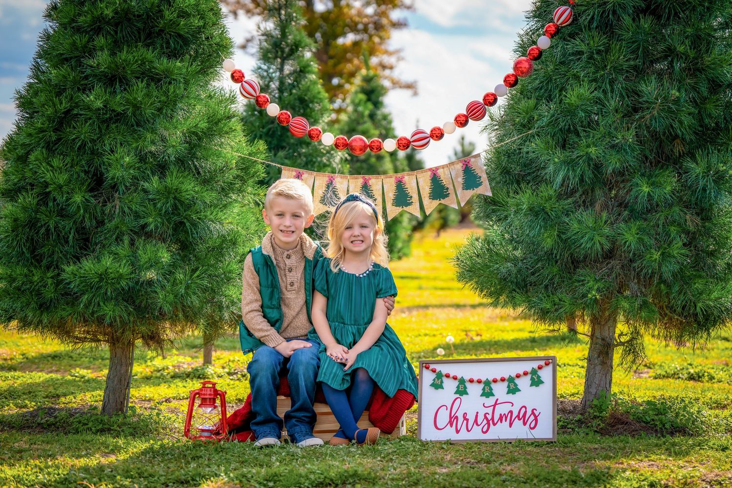 Holiday portraits captured between rows of evergreen trees with festive decorations.