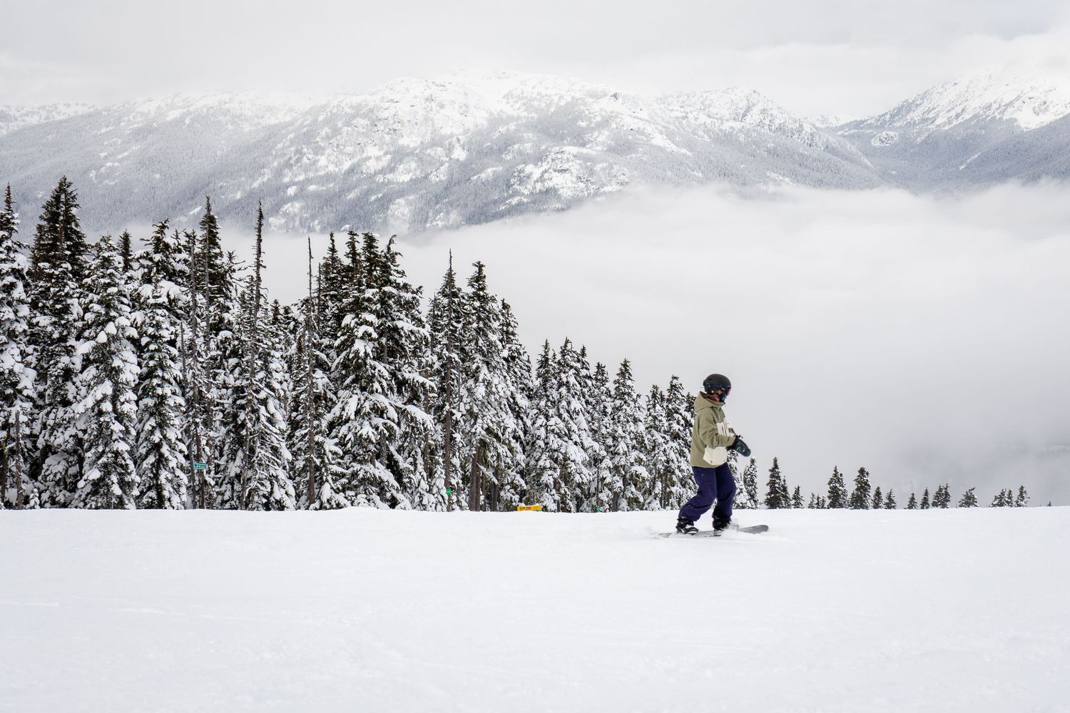 A snowboarder glides down a snowy slope surrounded by snow-covered pine trees and misty mountain peaks.