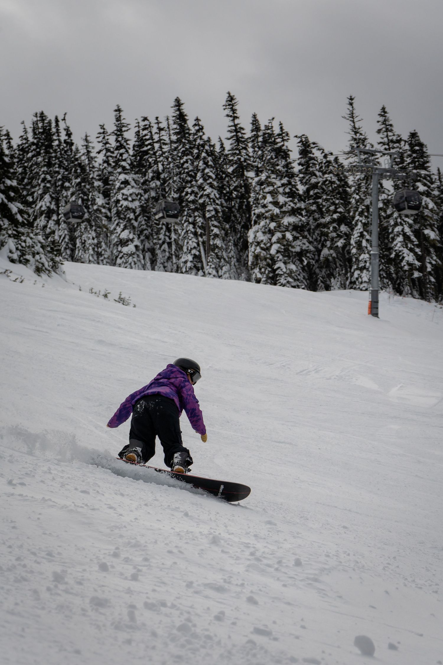 Snowboarder in purple jacket and black pants descends snowy mountain slope lined with evergreen trees.