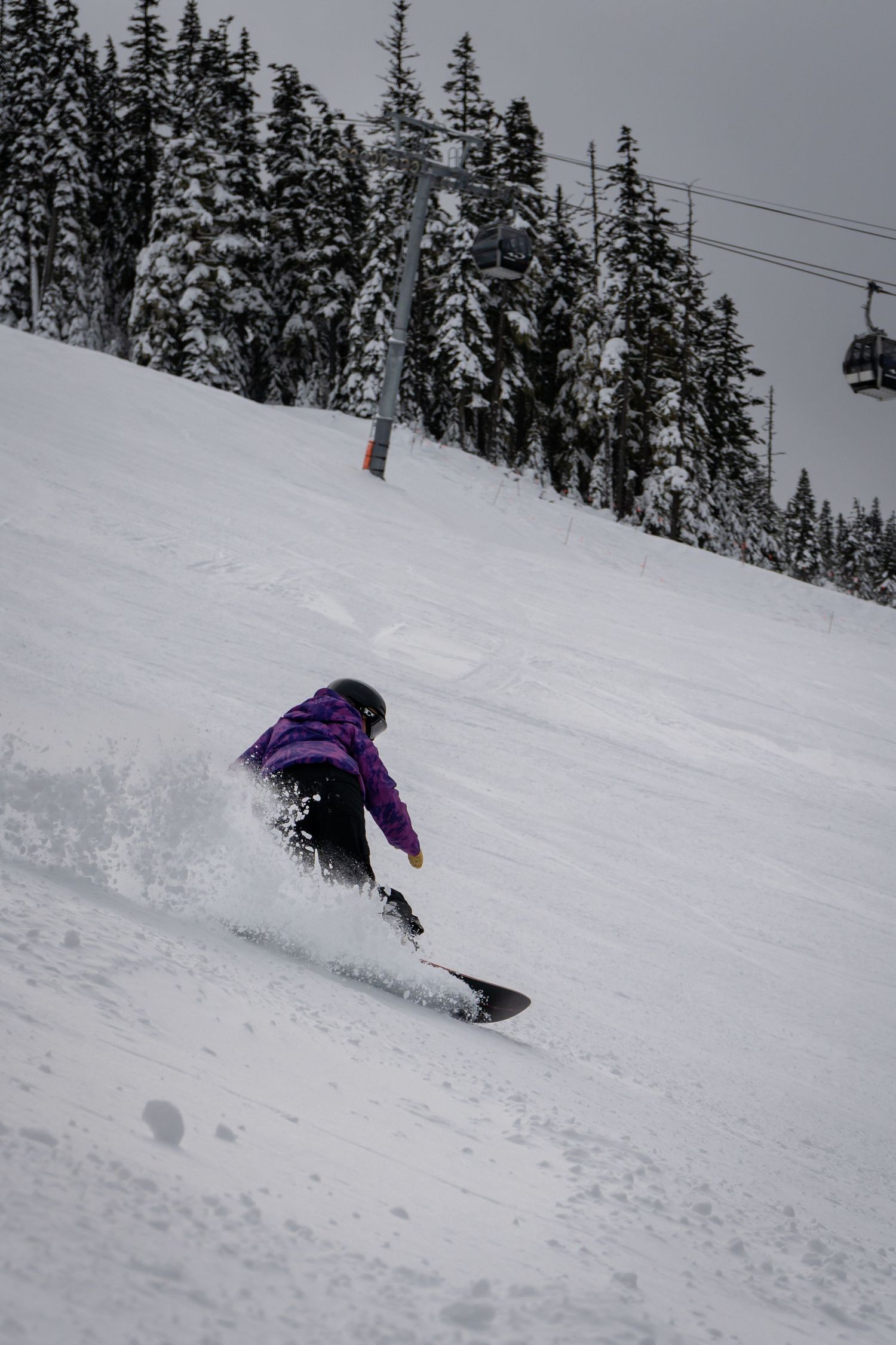 Snowboarder in purple jacket carving through fresh powder snow on ski slope with snow-covered trees.