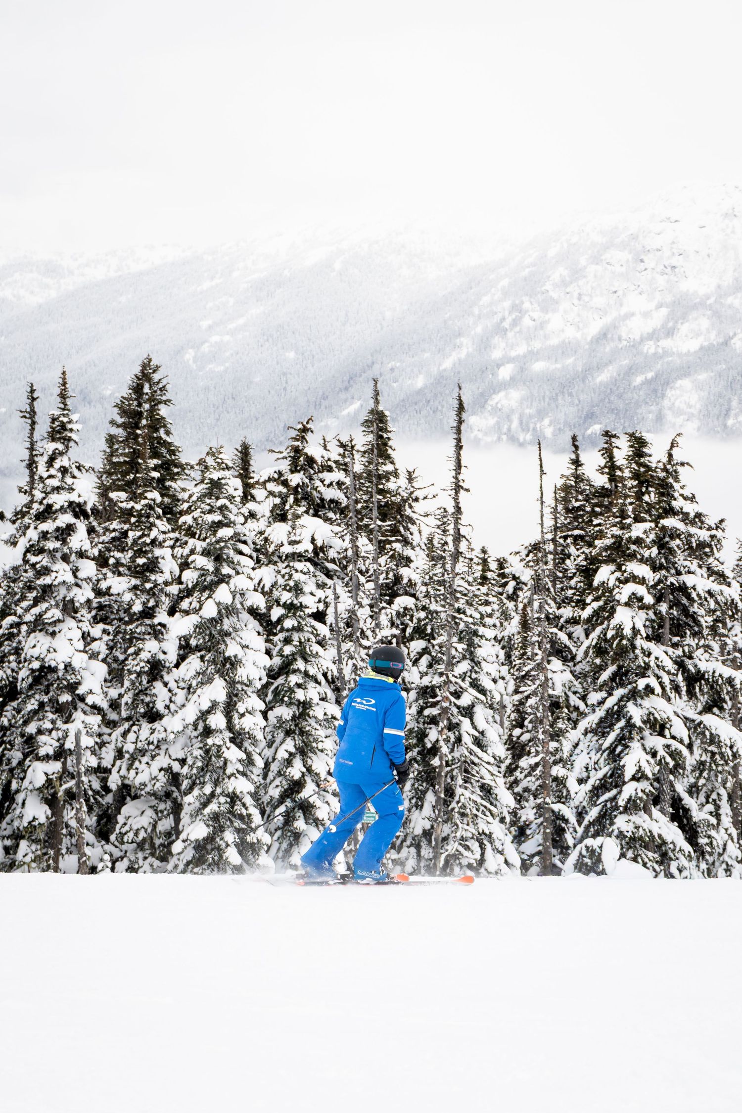 Skier in blue instructor uniform skiing toward snow-covered pine trees on mountain slope.