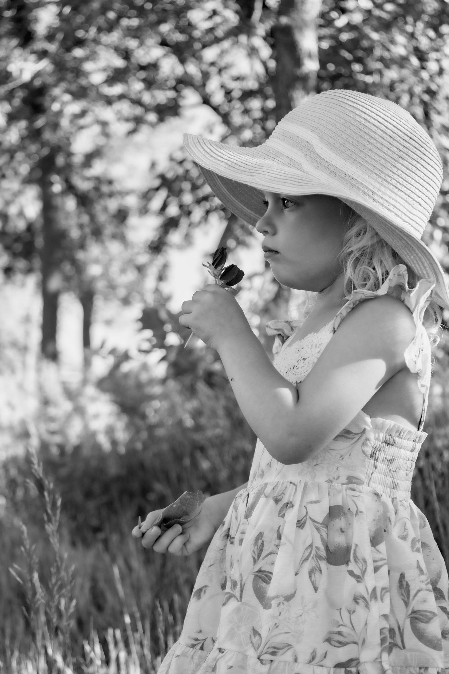 family photos, family, family photographer