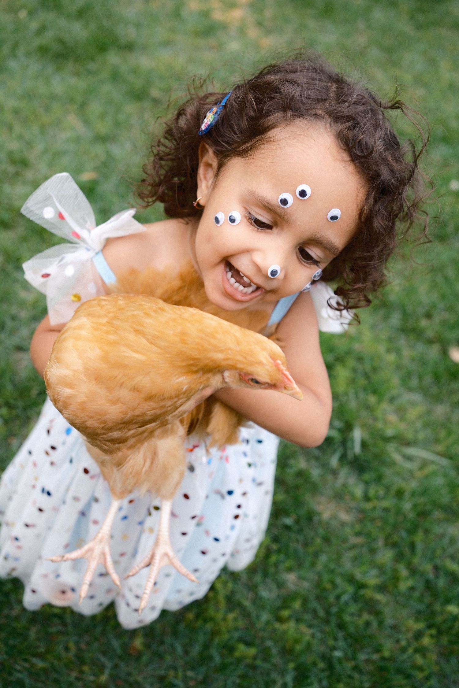 Young child in polka dot dress hugging orange chicken outdoors on grass.