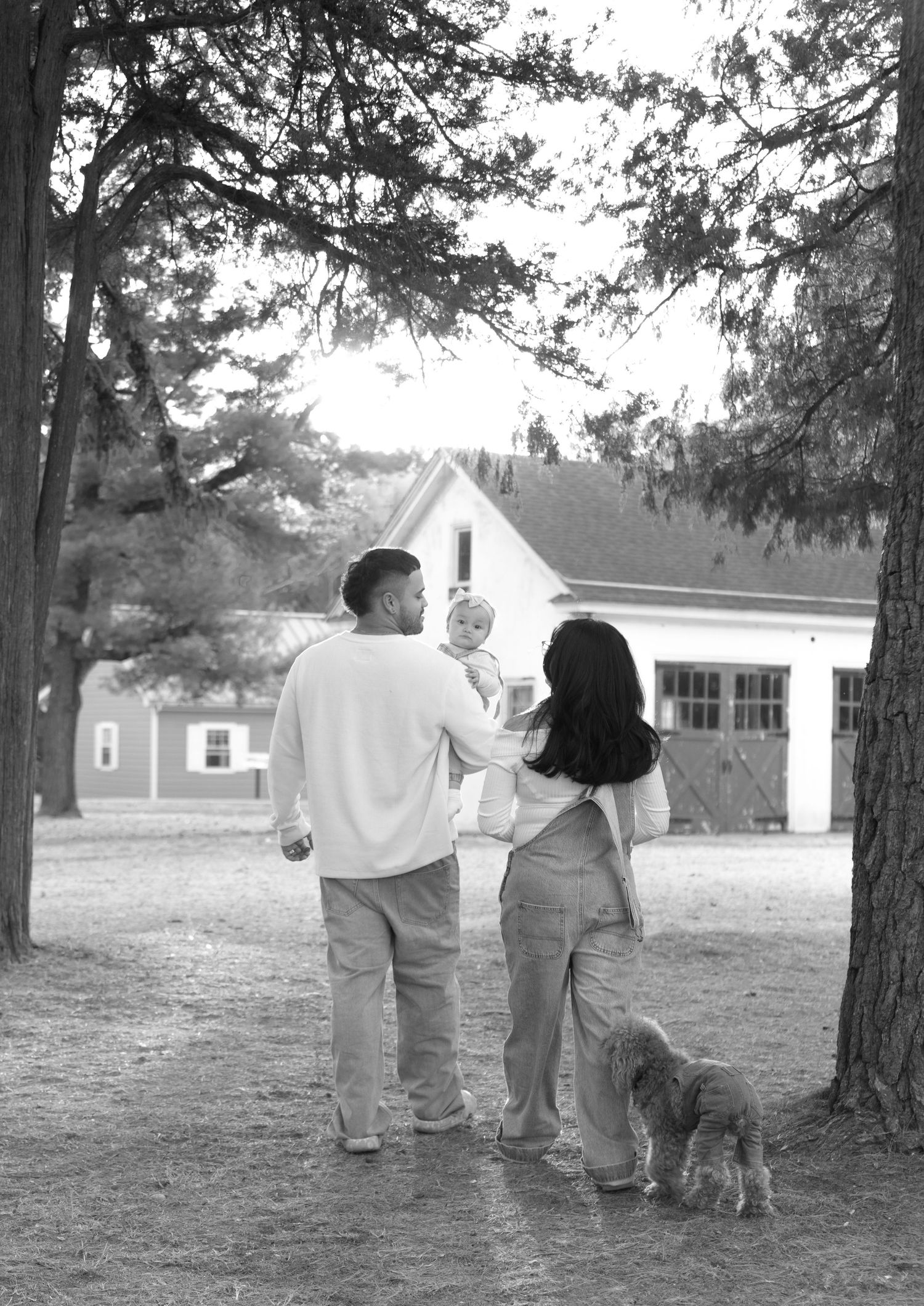 A couple walks with their dog on a tree-lined path while looking at a white house with a red barn in the background.