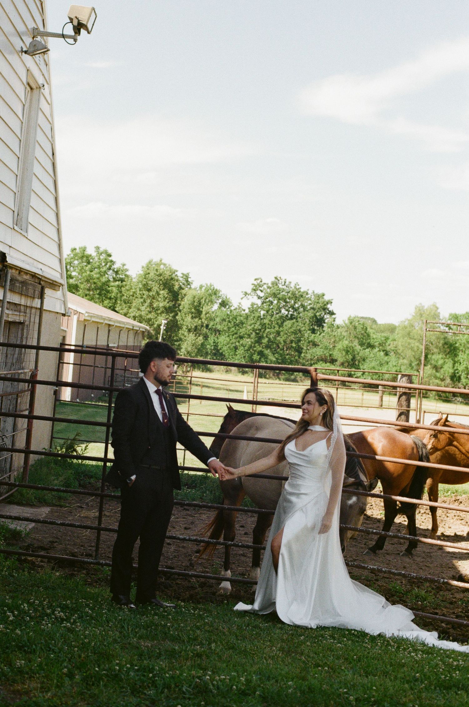 Bride and groom hold hands near a horse paddock on a farm, bride in white gown with veil, groom in dark suit.