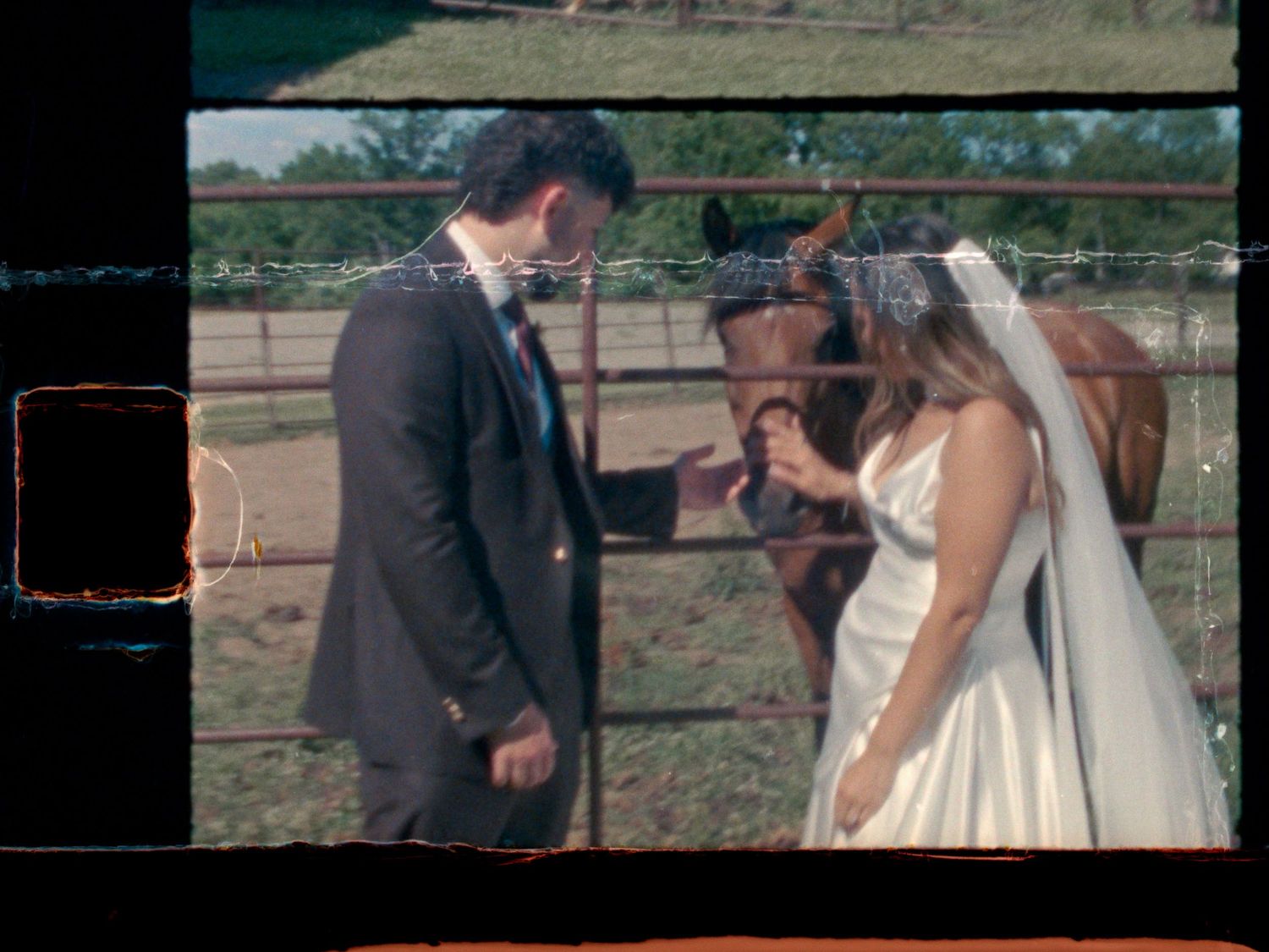 Bride and groom share a moment by a fence with a brown horse at a rustic farm wedding venue.