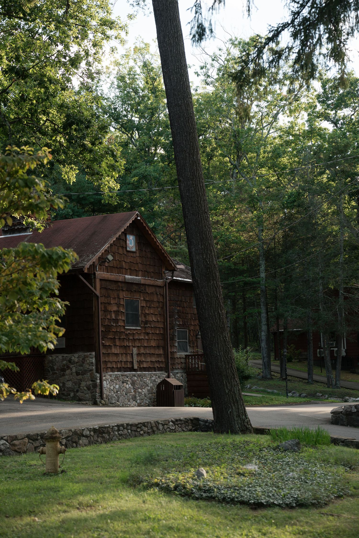 Rustic wooden cabin surrounded by tall trees and lush greenery in a serene forest setting.