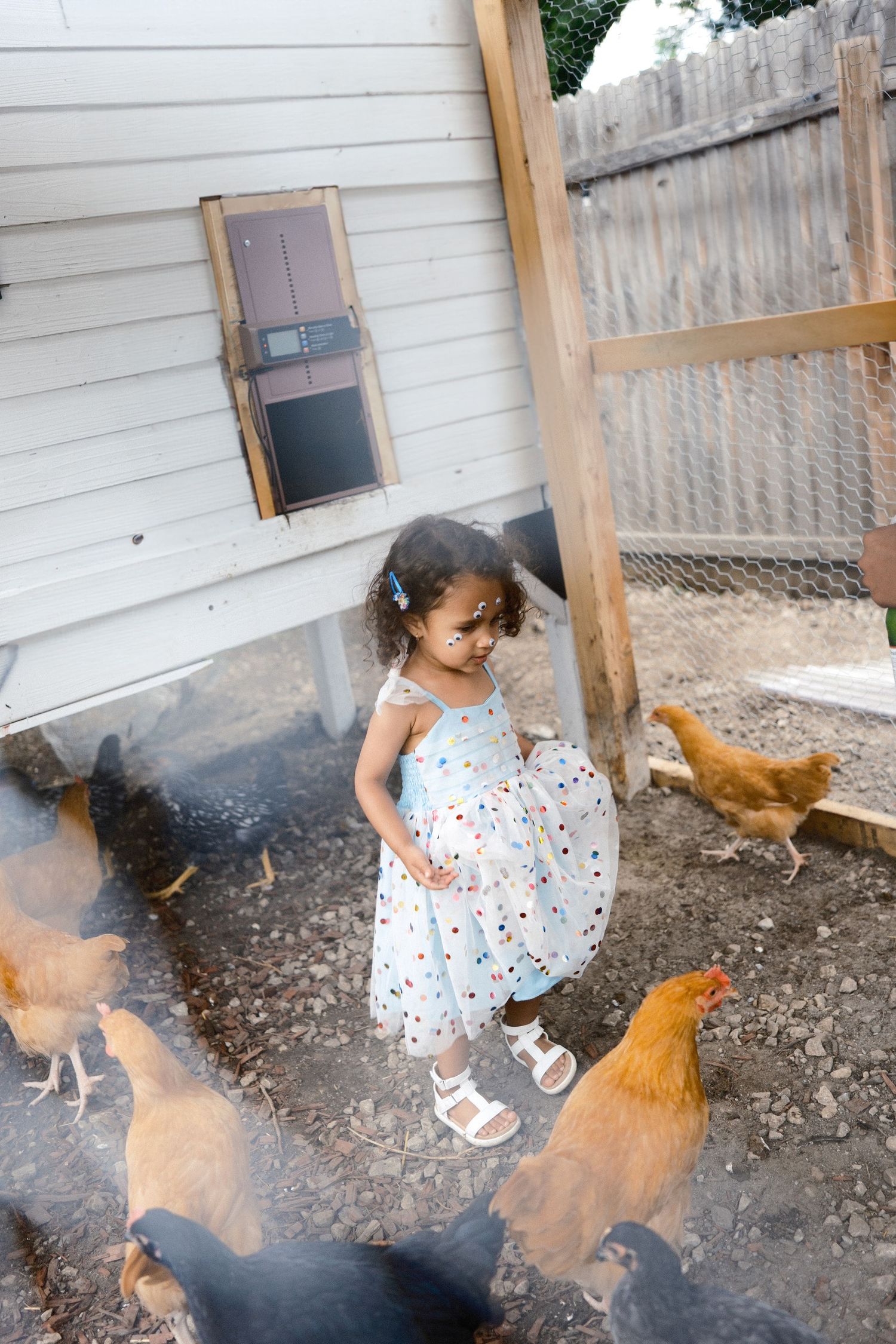 Child in polka dot dress playing with chickens near white house siding.