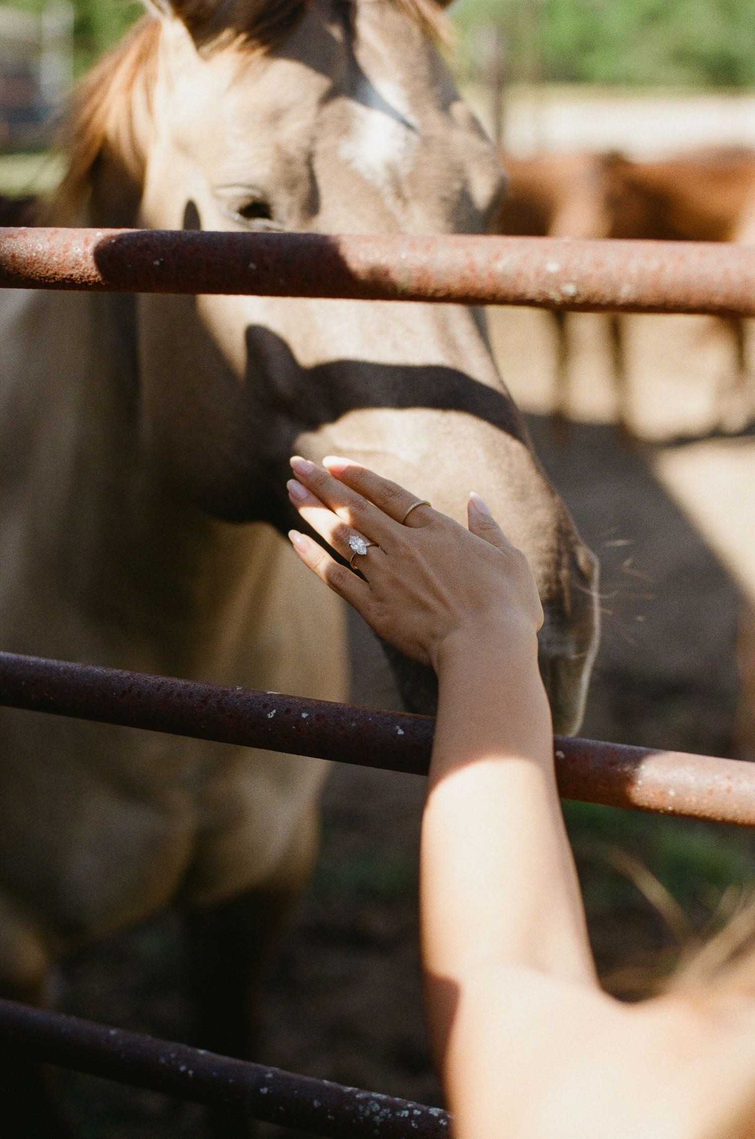 Bride with diamond engagement ring gently petting a horse through a rustic fence at farm venue.