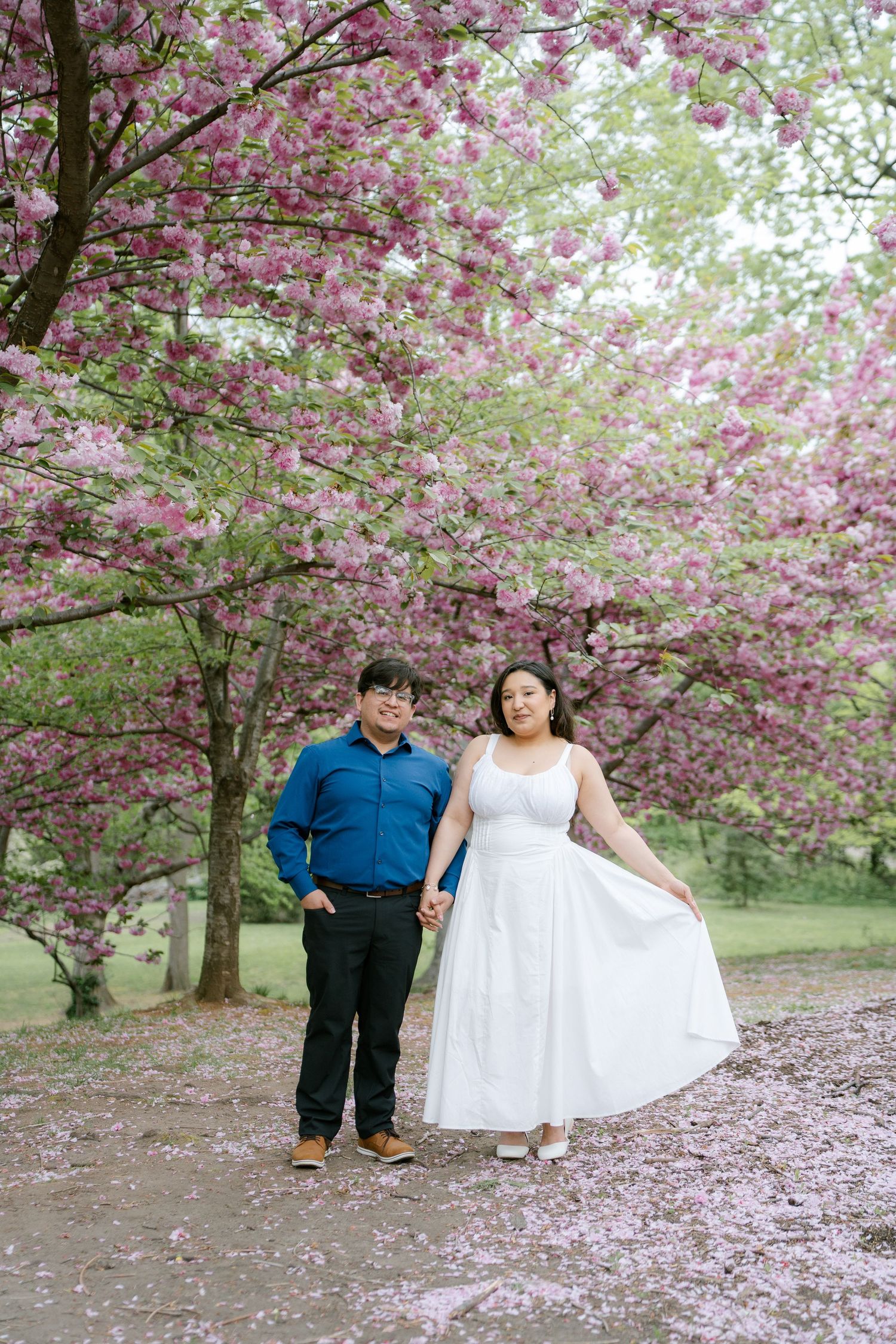Spring photo session under blooming cherry blossom trees with pink petals.
