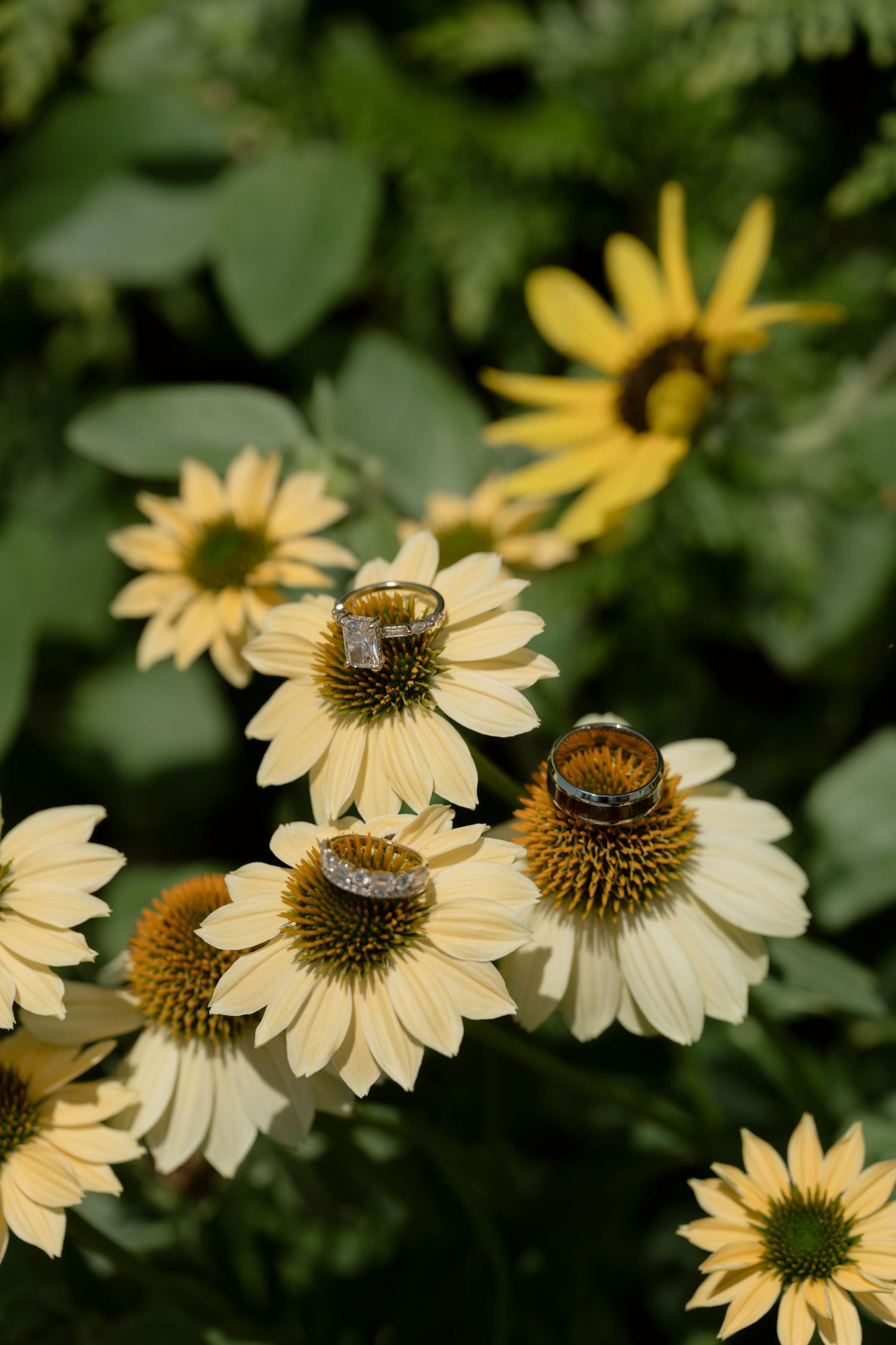 Wedding rings resting on yellow coneflowers in a lush green garden setting.