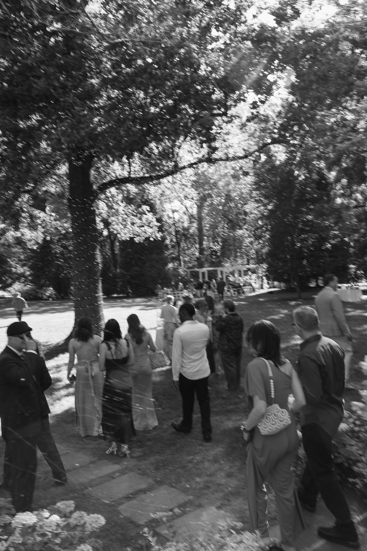 Wedding guests lined up outdoors in formal attire under tree canopy.