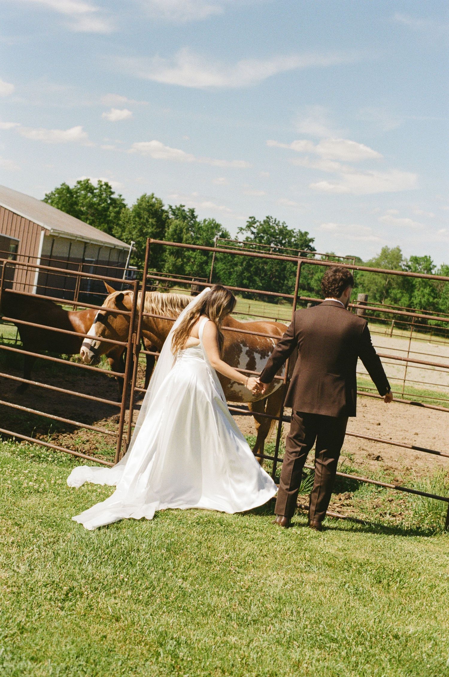 Bride and groom holding hands walking toward horses in a farm fence on their wedding day.