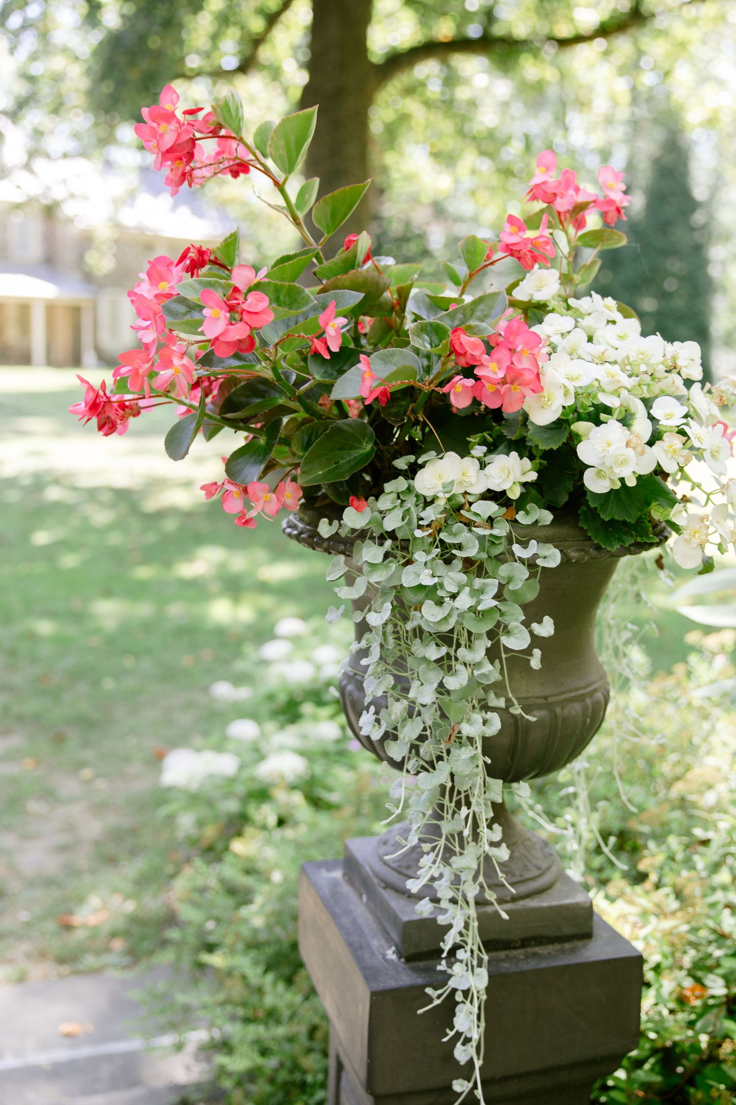 Pink and white flowers arranged in stone planter with cascading blooms in outdoor garden setting.