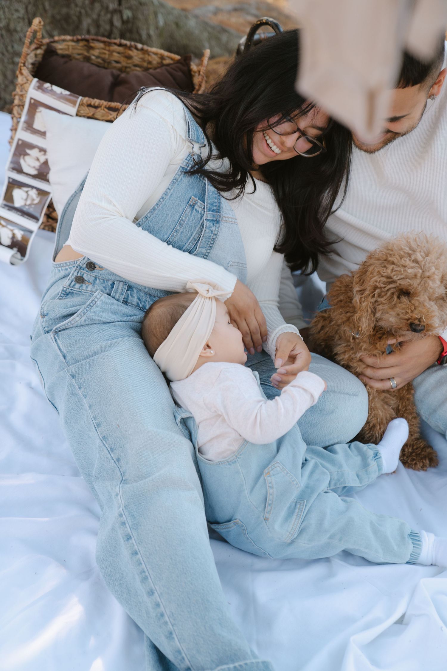 Candid moments of a family playing with their curly-haired dog on a white blanket in a park setting.