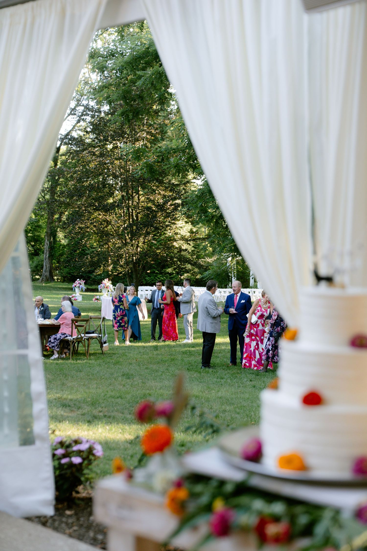 Wedding reception guests gathered on a lawn viewed through white curtains with a cake in foreground.