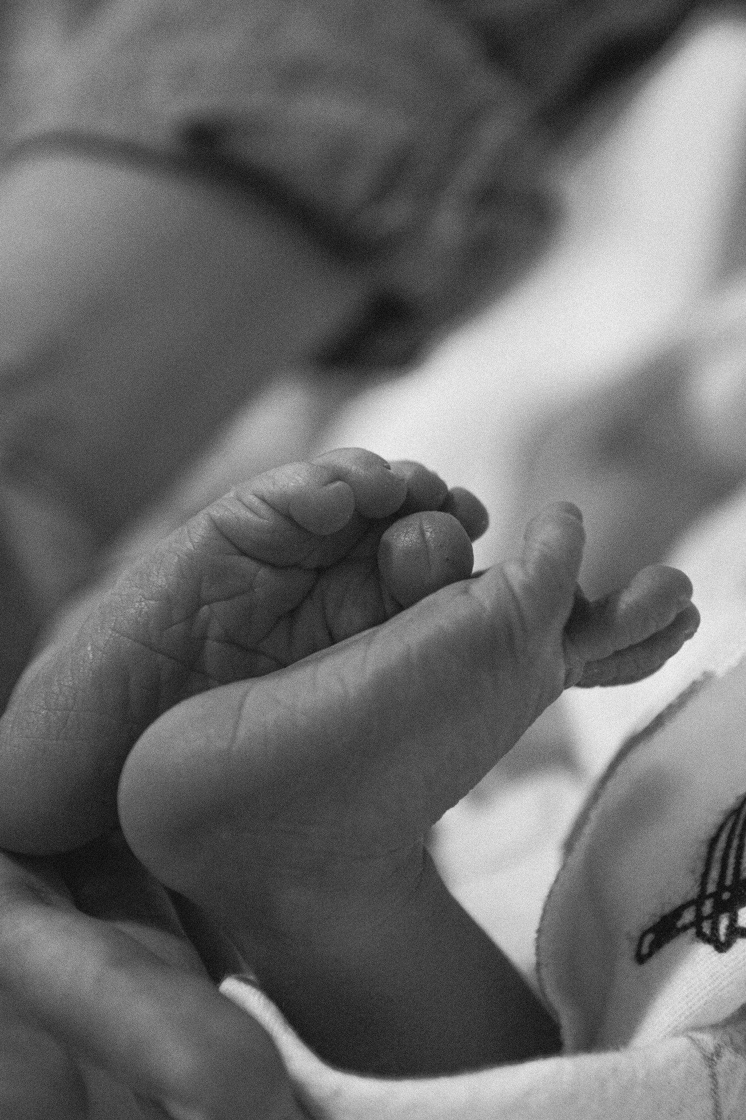 Black and white close-up photo of a newborn baby's tiny feet held gently in an adult's hand.