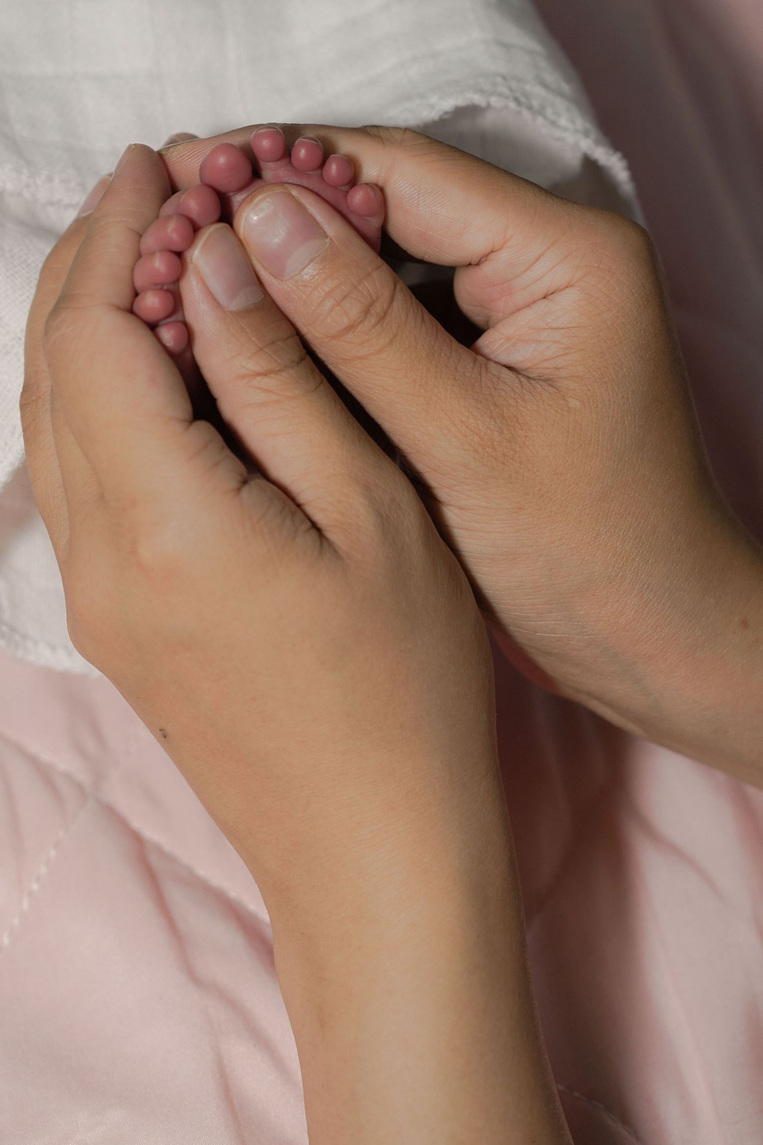Adult hands gently cradling tiny newborn baby feet, close-up shot on soft pink background.
