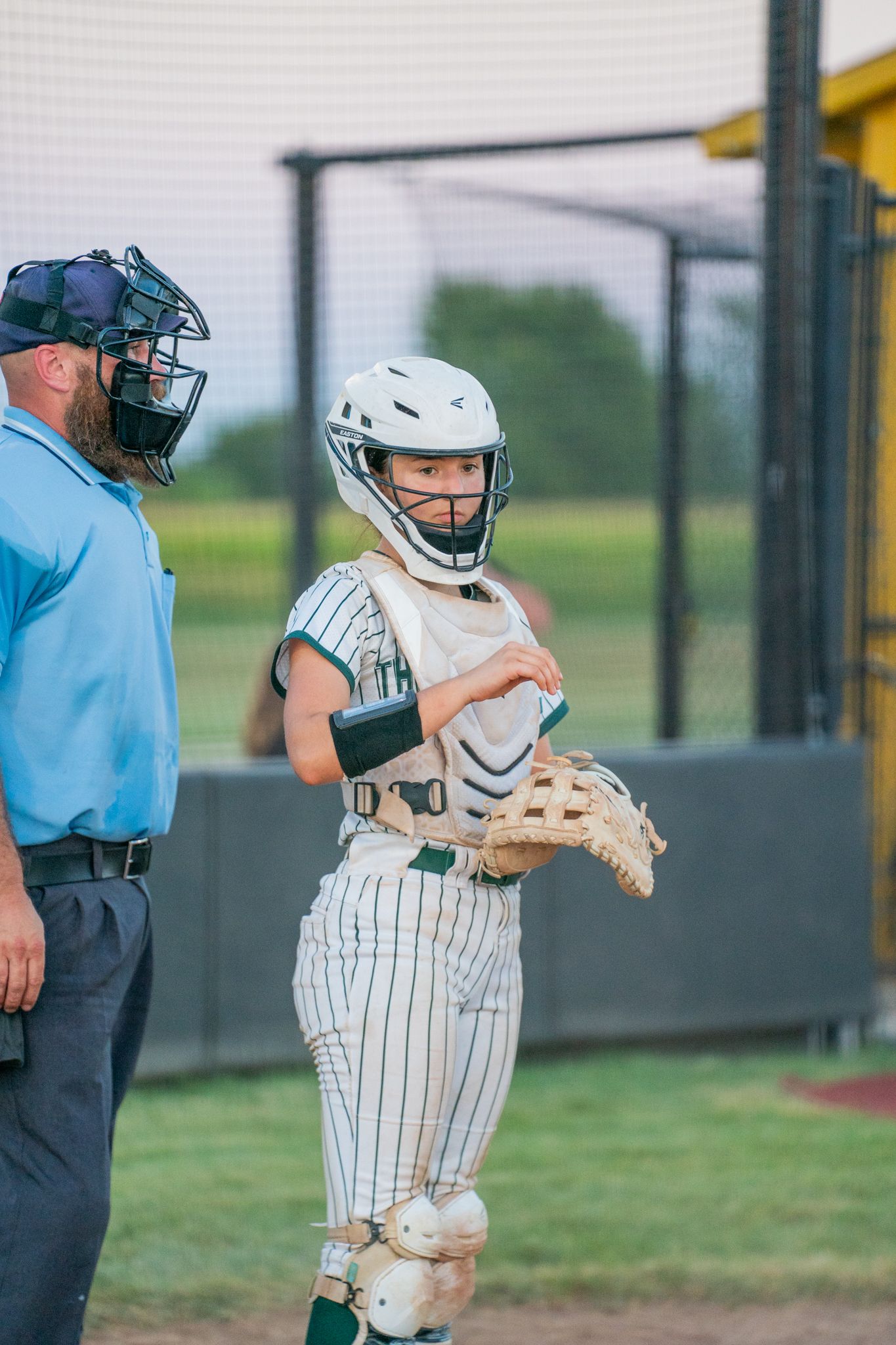Softball Photo